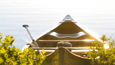 Bokeh - professional stock photography