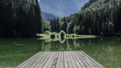 Camera - professional stock photography