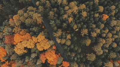 Camera - professional stock photography