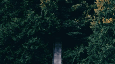 Composition - professional stock photography