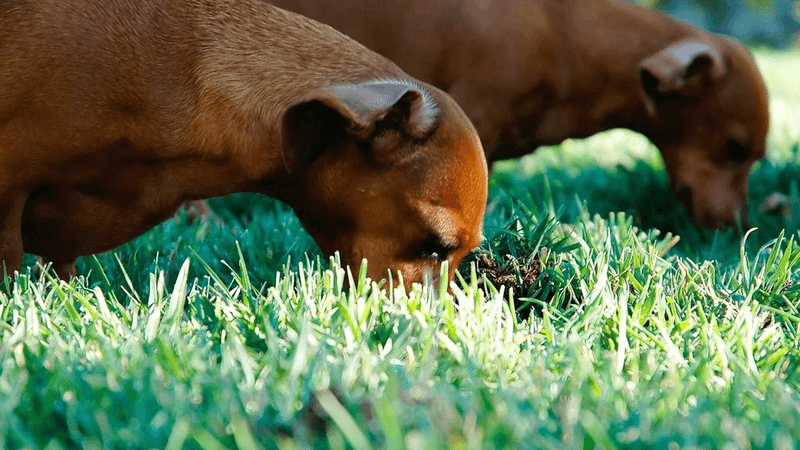 Composition - professional stock photography