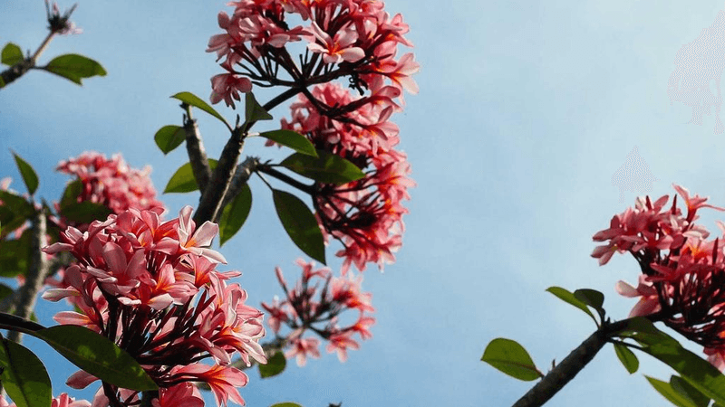 Editing - professional stock photography