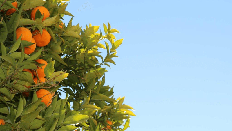 Editing - professional stock photography