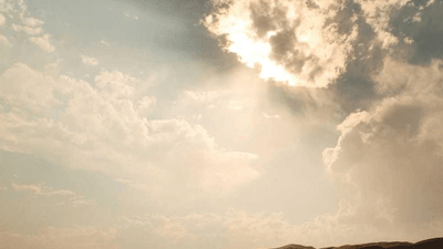 Editing - professional stock photography