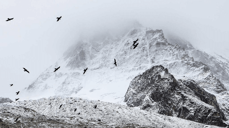 Exposure - professional stock photography