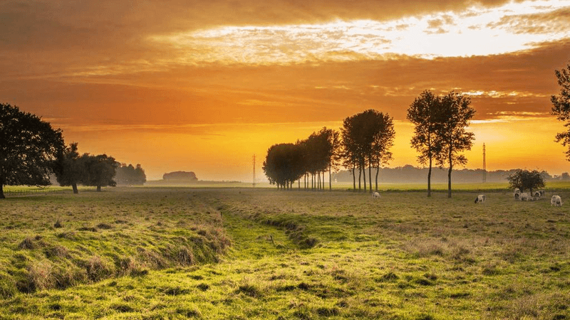 Film - professional stock photography