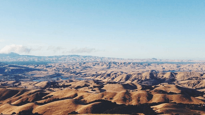 Film - professional stock photography