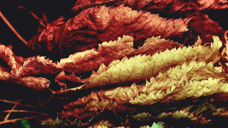 Filter - professional stock photography