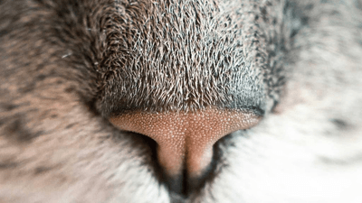 Filter - professional stock photography