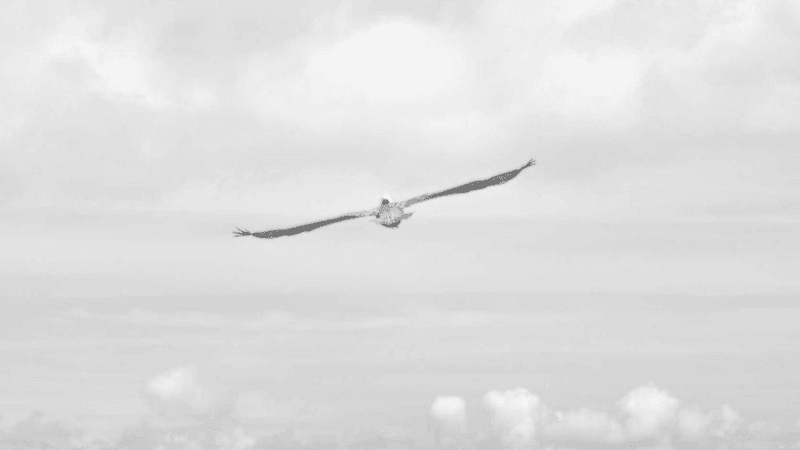 Landscape - professional stock photography