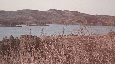 Lens - professional stock photography