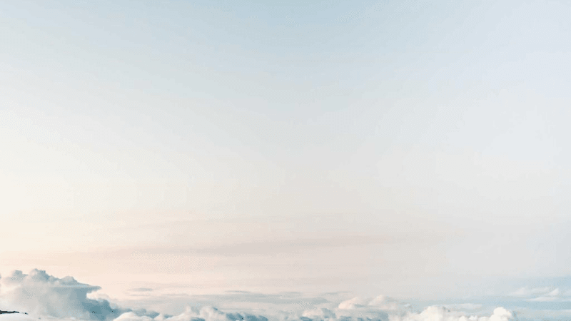 Macro - professional stock photography