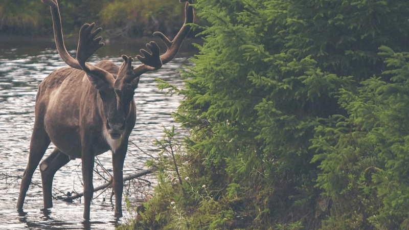Macro - professional stock photography