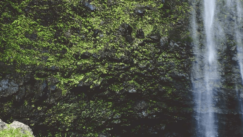 Panorama - professional stock photography