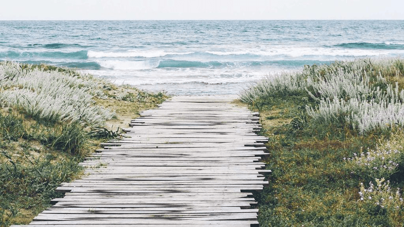 Portrait - professional stock photography