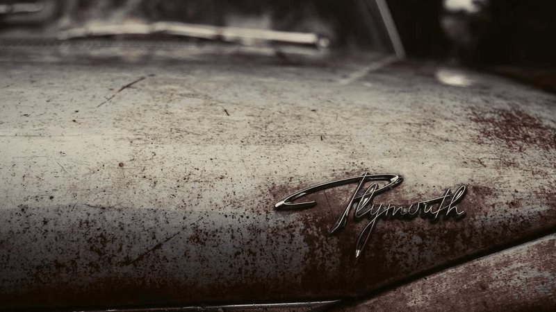 Portrait - professional stock photography