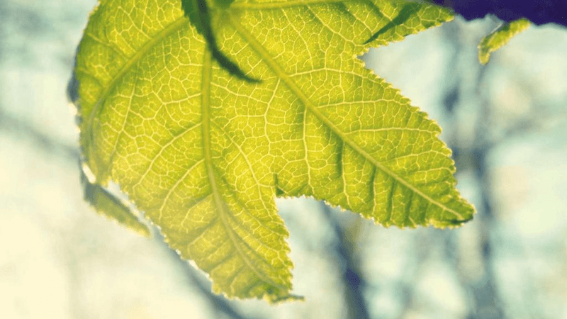 Street - professional stock photography