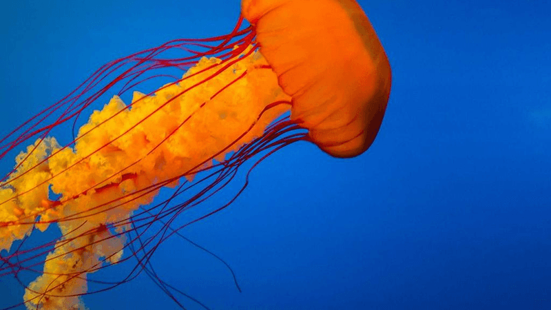 Street - professional stock photography