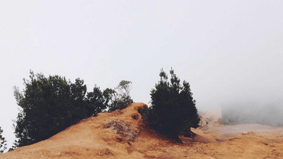 Street - professional stock photography