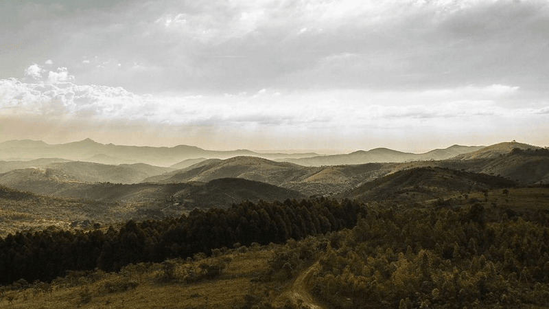 Studio - professional stock photography