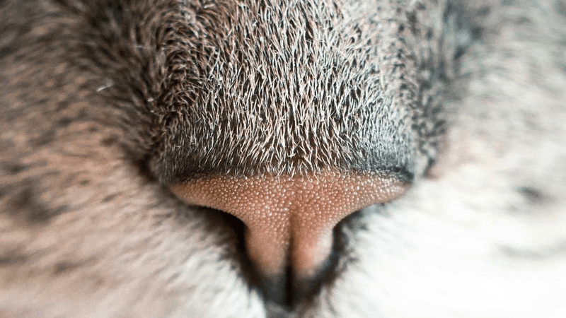 Studio - professional stock photography